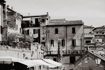 Oude stad Siena van Lidushka