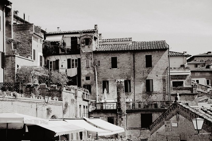 Ancient city of Siena by Lidushka