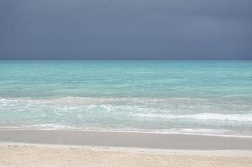 Caribbean Beach Landscape by Carolina Reina