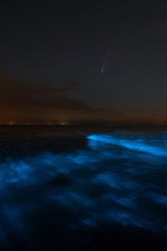 étincelle de mer avec la comète Neowise