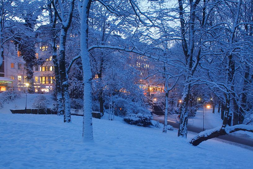 Park Wallanlagen in de winter met sneeuw bij schemering, Bremen, Duitsland, Park Wallanlagen in de w van Torsten Krüger