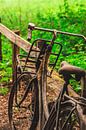 verlaten en verroeste fiets in het bos van Rinaldo Ten zijthoff thumbnail