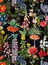 Mitternachts Frühlings Wiese von Floral Abstractions Miniaturansicht