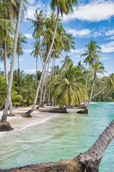 De baai van Khlong Hin Koh Kood van Bernd Hartner