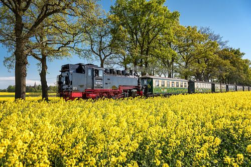 Dampflok Rasender Roland Insel Rügen