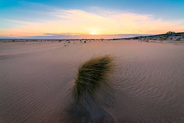 Maasvlakte and the coast by Björn van den Berg