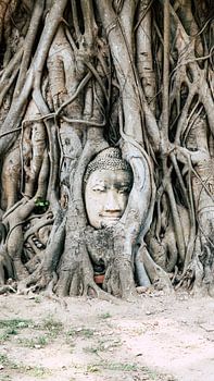Buddha in Thailand (Ayutthaya)