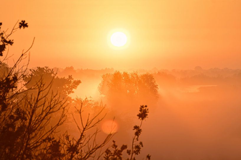Sonnenaufgang über nebligen Wiesen in Bargerveen von Miny'S