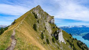 Montée au Suggiture (près d'Interlaken)