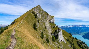 Climb to the Suggiture (near Interlaken) by Jessica Lokker
