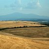 Tuscan landscape by Barbara Koppe