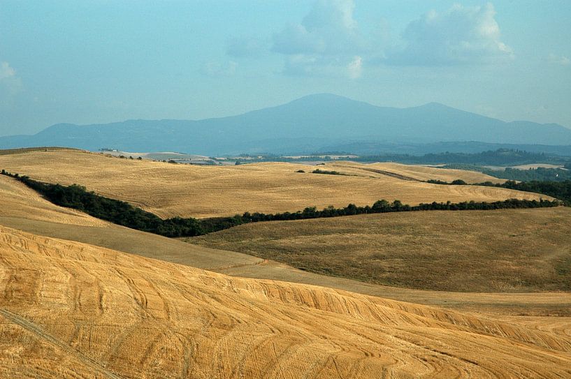 Toscaans landschap van Barbara Koppe