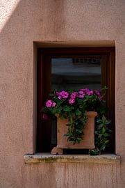 Italian tranquillity by Michelle van Merrienboer