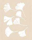 Ginkgo bladeren op licht beige. Moderne botanische minimalistische kunst. van Dina Dankers thumbnail