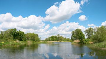 de rivier Ehle bij Biederitz van Heiko Kueverling