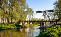 Abgelaufene Zugbrücke über einen Biesbosch Bach von Ruud Morijn Miniaturansicht