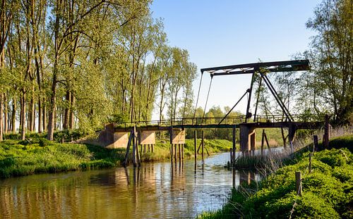 Vervallen ophaalbrug over een Biesbosch kreek