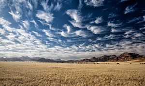 en cours de route en Namibie