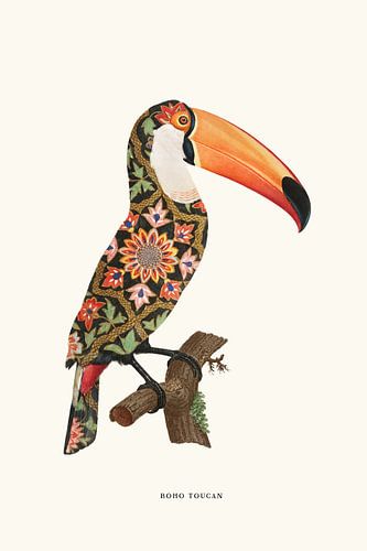 Boho toucan