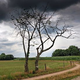 Ciel menaçant sur Herman Beld