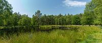 Het Pluizenmeer bij Heerde op de Veluwe van Jan-Willem van Rijs thumbnail