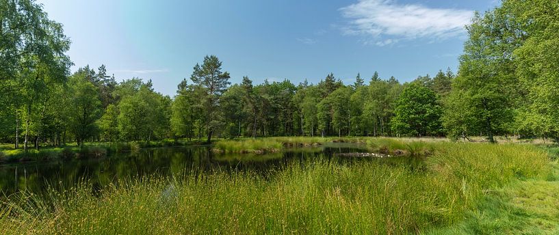 Het Pluizenmeer bij Heerde op de Veluwe van Jan-Willem van Rijs