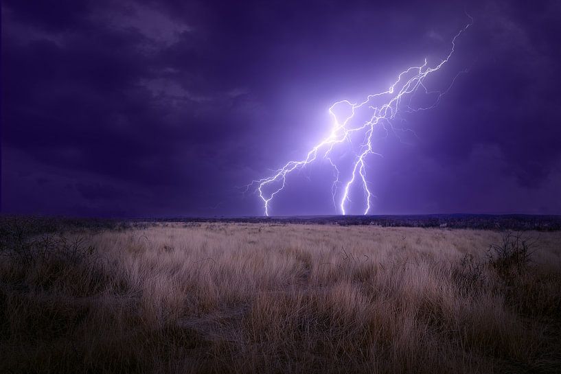 PurpleLightning von Marcel Egger