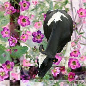 Kuh auf der Blumenwiese