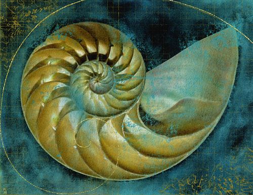 La perfection de la nature