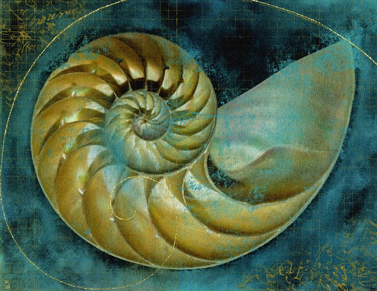 Die Perfektion der Natur von Ingrid A.U. Motzheim