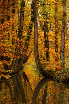 Herbst in Twickel von Truus Nijland