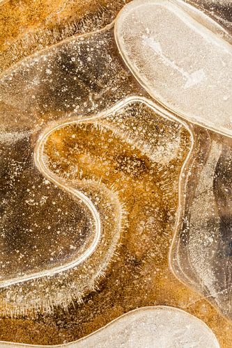 Fantasie figuur in lijn en vorm