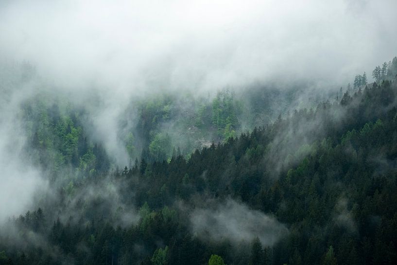 Wolken boven het bos in de Zgornje Jezersko vallei van Sjoerd van der Wal Fotografie