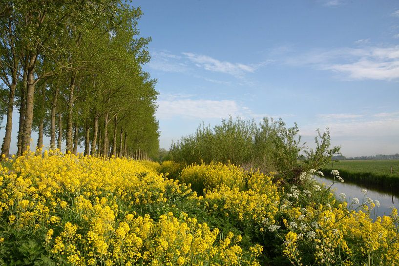 Lenteberm van A'da de Bruin