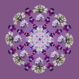 Bloemen 3 van Joke ten Veen