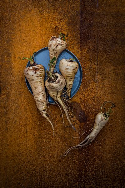 Pastinaken van Susan Lambeck