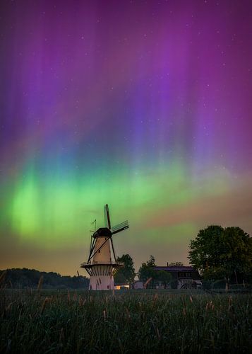 Mühle De Vlinder - Nordlichter in Gelderland