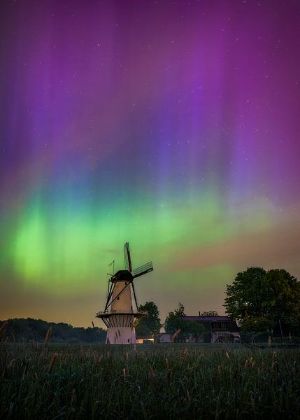 Mill De Vlinder - Northern Lights in Gelderland by Jeroen Lagerwerf