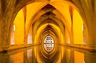 Badhuis van het koninklijk paleis in Sevilla van Antwan Janssen thumbnail