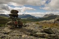 Homme de pierre dans le parc national de Jotunheimen, en Norvège. par Sean Vos Aperçu