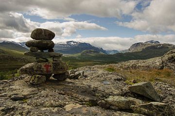 Steenmannetje in Jotunheimen Nationaal Park, Noorwegen.