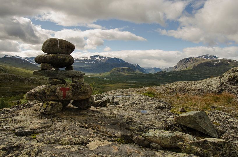 Homme de pierre dans le parc national de Jotunheimen, en Norvège. par Sean Vos