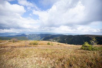 Vue du Feldberg dans la Forêt Noire