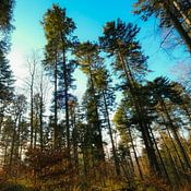 Philip van Leeuwen Profile picture