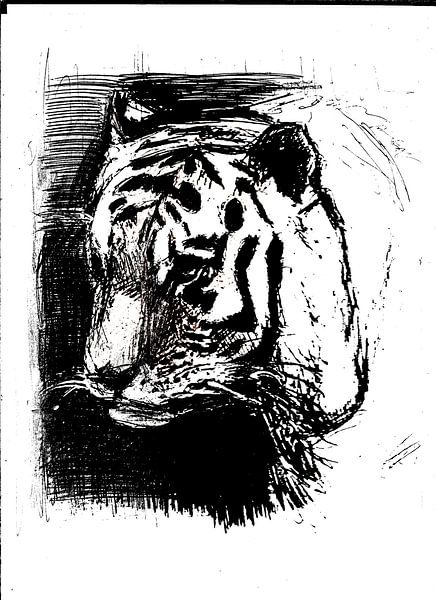 TIGER BLACK AND WHITE by Vincent Jacobs