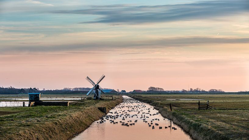 Molen De Kemphaan bij zonsondergang van Texel eXperience