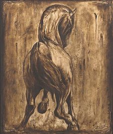 Phantom van Paula Collewijn