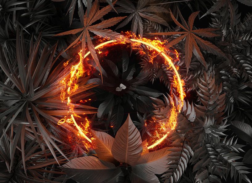 Circle Frame in fire and flames over tropical plants by Besa Art