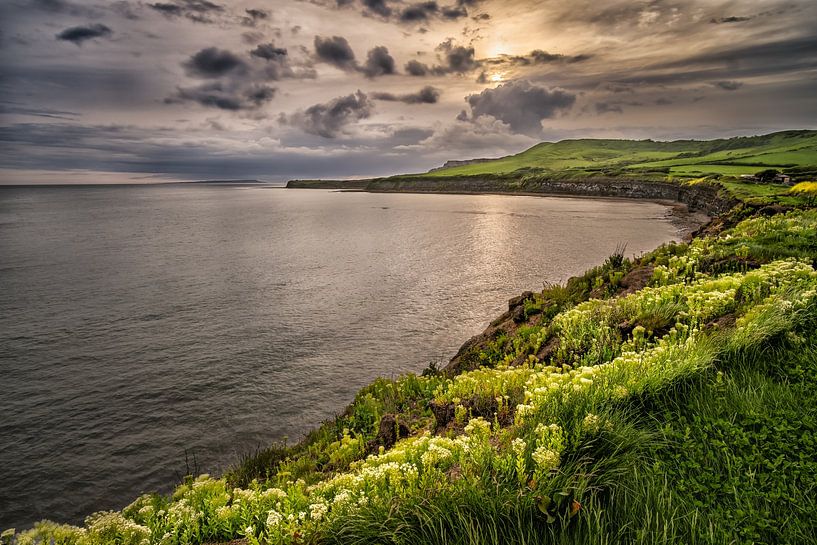 Lake of flowers Kimmeridge Bay by Sander Poppe