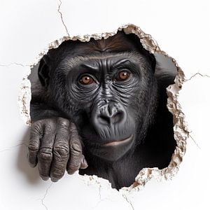 Gorilla von der Wand